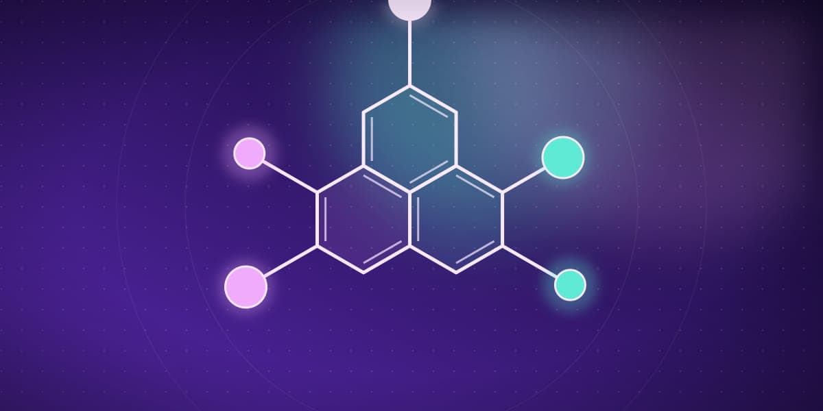 Workshop internațional „Pharmacogenomics for the Undiagnosed: Translating Genetics into Care”