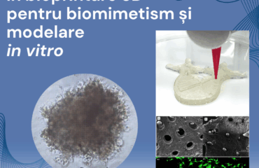 Webinar bioprintare